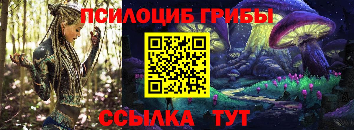 Орёл  Псилоцибиновые грибы прущие грибы  цена   Вход с VPN 